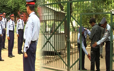 Factory Security Guard
